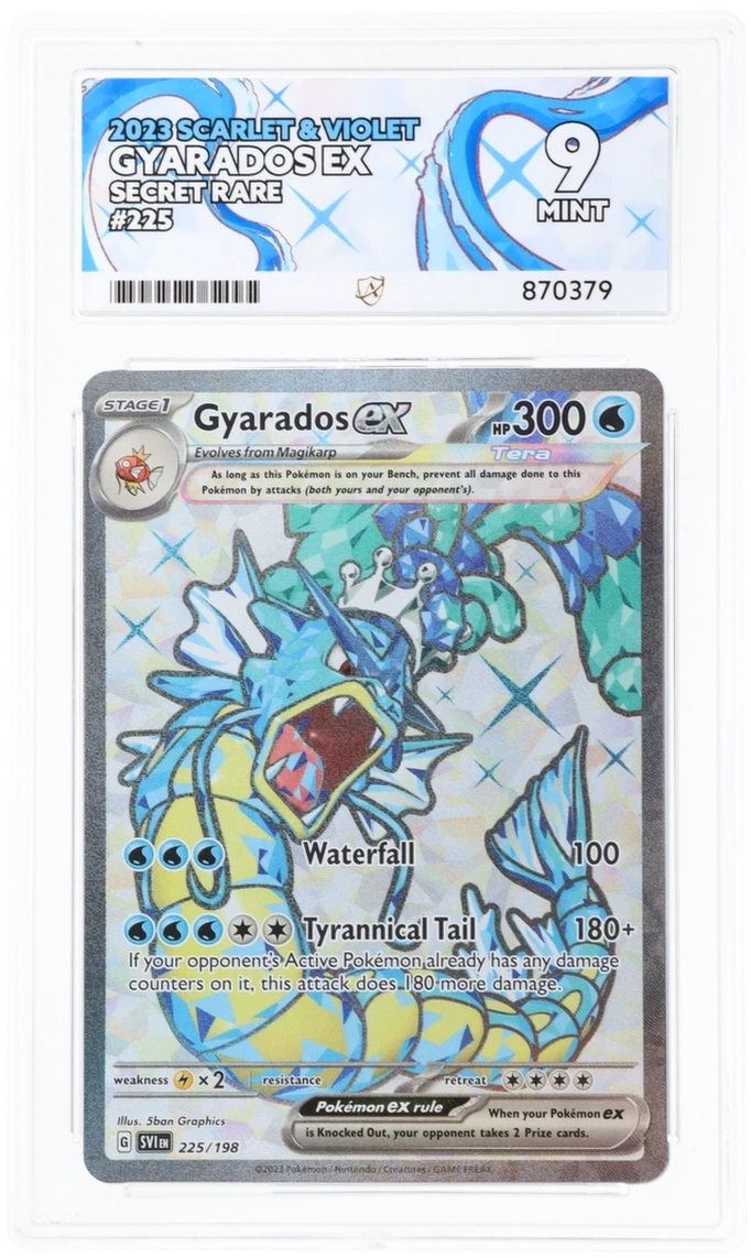 Gyarados ex - ACE 9   (Front)
