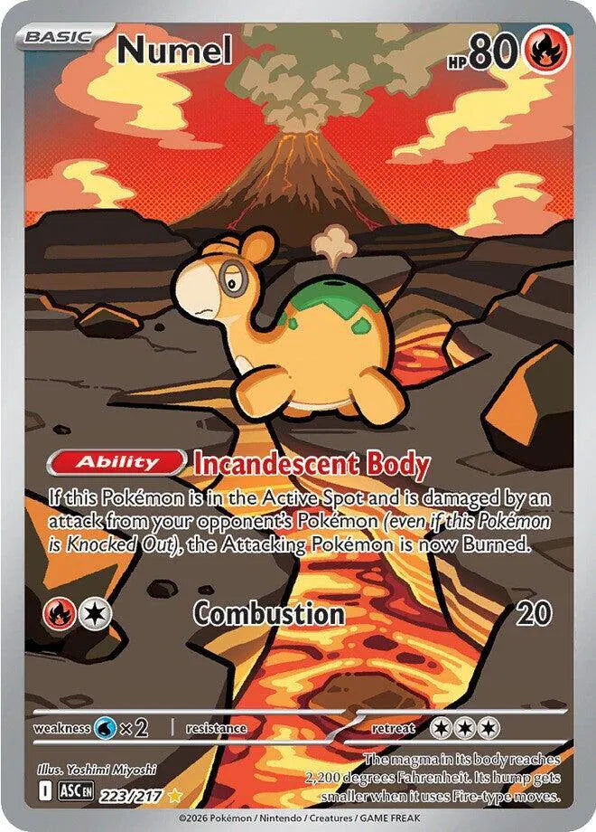 Pokemon Ascended Heroes - Numel Illustration Rare (IR) 223/217