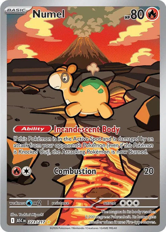 Pokemon Ascended Heroes - Numel Illustration Rare (IR) 223/217